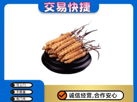 陇南徽县礼品回收散虫草.jpg